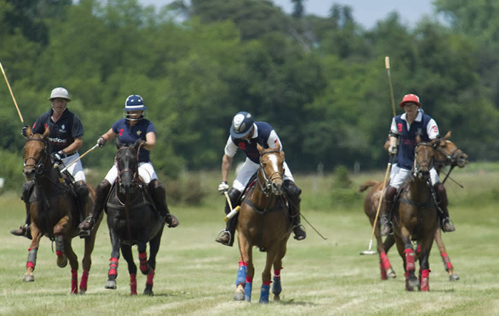 Polo à Bordeaux