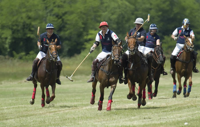 Polo à Bordeaux