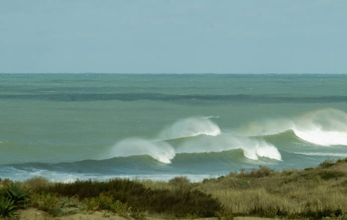  2008 Surf Club Meeting