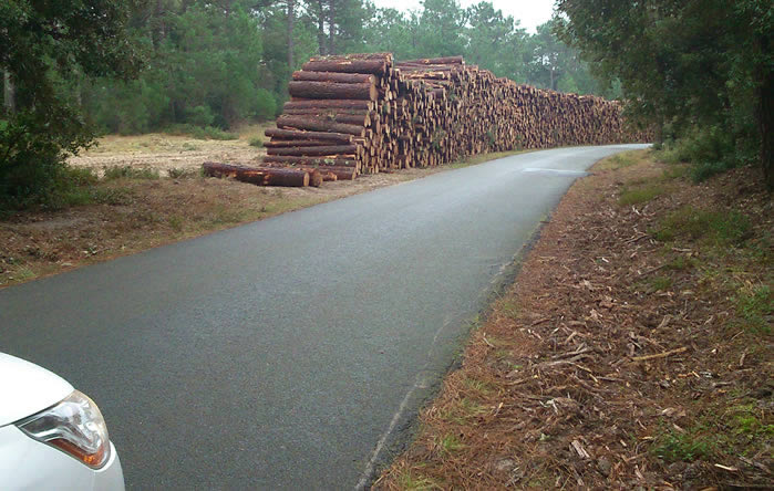 La route des Phares