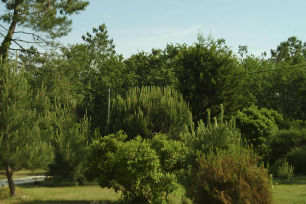 Jardinage et Entretien espace vert