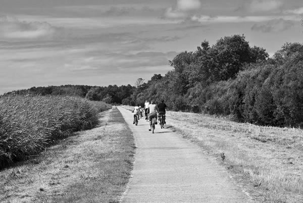 Cycling Vendays-Montalivet Marshlands